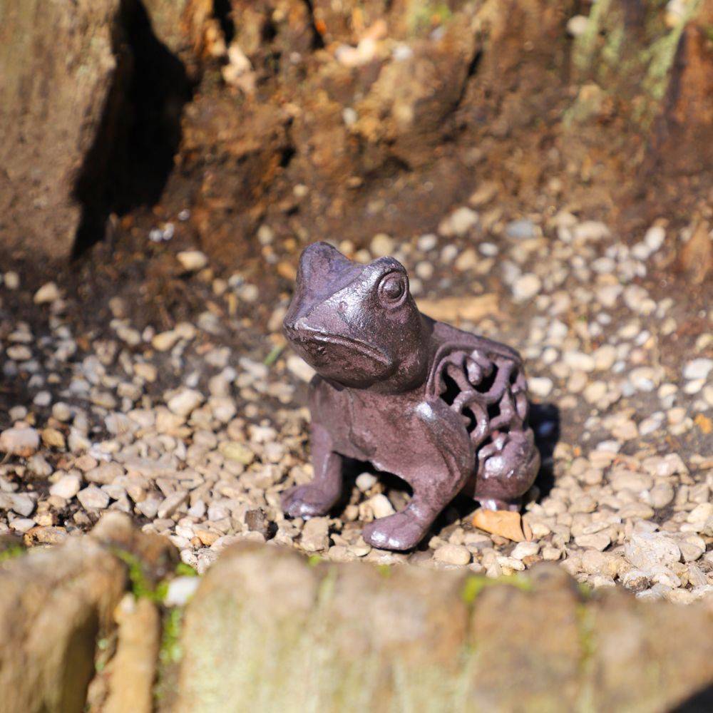 Grenouille en fonte marron 13 x 11 cm Chemin de campagne - Image 2