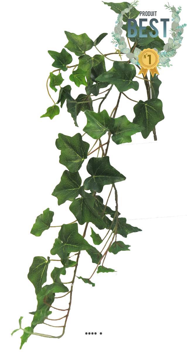Lierre artificiel en chutes, 3 ramures, L 80 cm Vert - BEST - couleur: Vert - Image 1