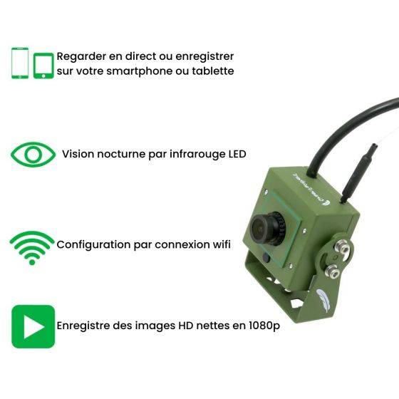 Green Feathers - Caméra wifi pour Nichoir à oiseaux (avec cable 10 m inclus) - Image 3