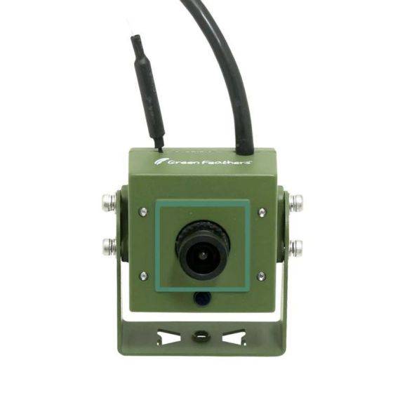 Green Feathers - Caméra wifi pour Nichoir à oiseaux (avec cable 10 m inclus) - Image 6