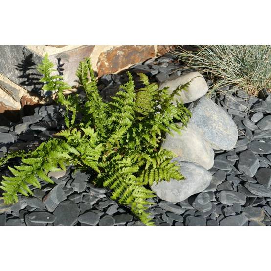 Gros Galet NOIR Mat 100-200 - pack 10 Galet - Image 2