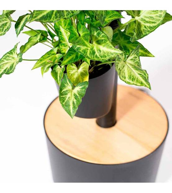 Jardinière verticale CitySens noire avec 3 pots et arrosage automatique digital - Image 3