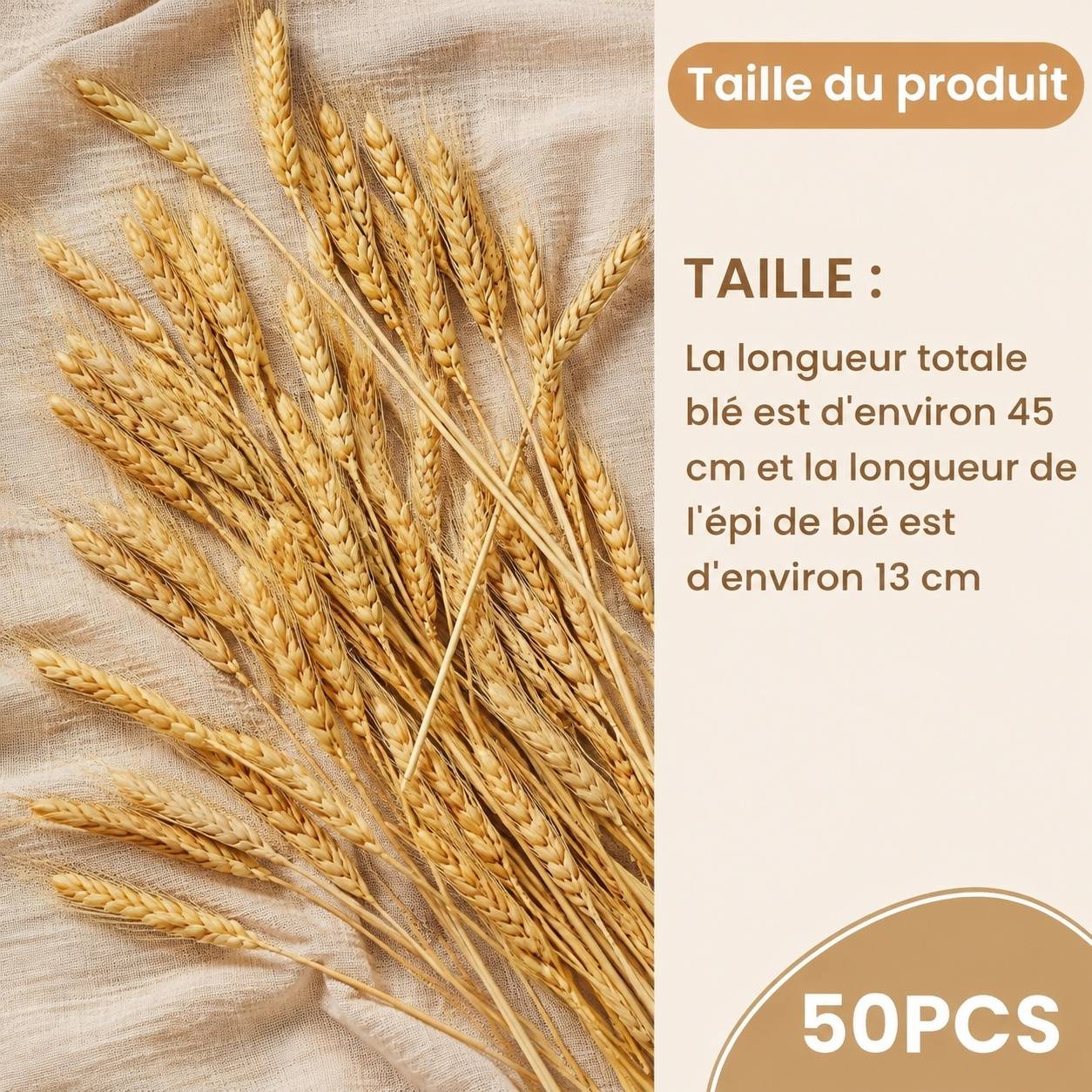 Décorations de Blé Séché Naturel Décoration Bohème Rustique pour Mariage Fête Maison - Image 2