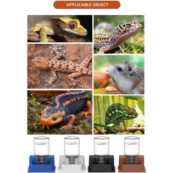 Lot De 2 Distributeurs D'Eau Automatiques Pour Petits Animaux - Lytech - Image 4