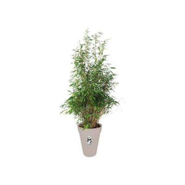 Elho - Pot De Fleurs Rond Elho Loft Urban Haut 42 - Gris - ø 42 X H 56 Cm - Extérieur - Image 2
