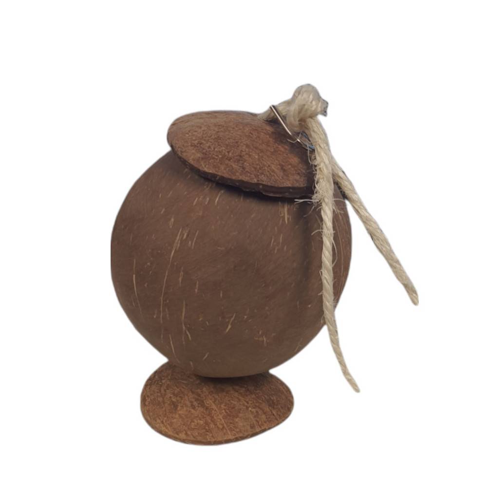 Une maison noix de coco, pour petits rongeurs. - Image 4