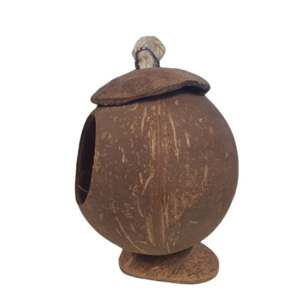 Une maison noix de coco, pour petits rongeurs. - Image 3
