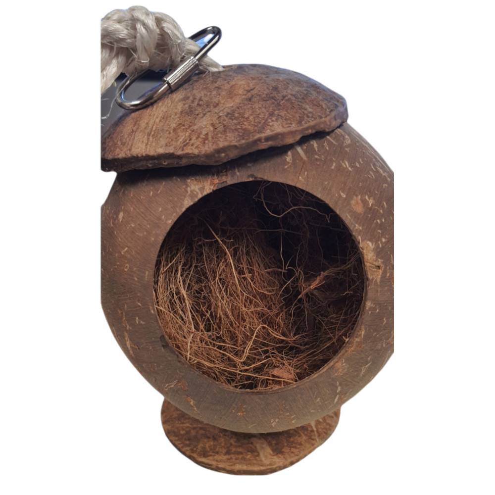 Une maison noix de coco, pour petits rongeurs. - Image 2