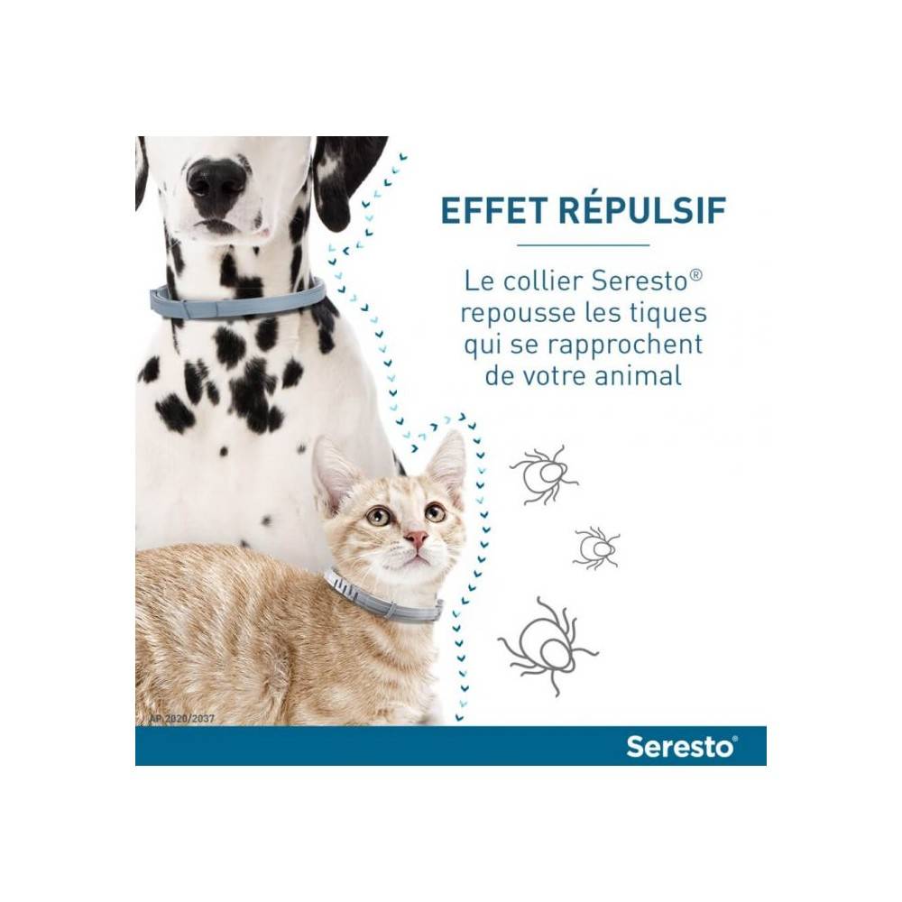 Bayer - Collier antiparasitaire chat - Seresto Collier x2 - Image 3