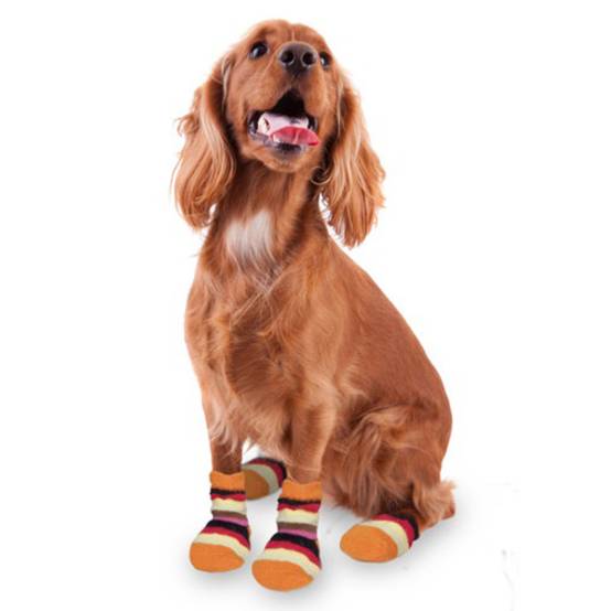 Chaussettes chaude antidérapante 1 paire Taille XS pour chien - Image 4
