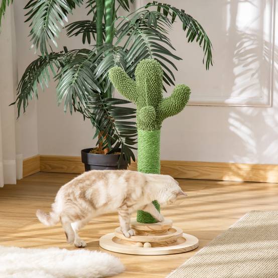 Arbre à chat en forme de cactus, petit modèle avec poteau en sisal, balle suspendue en peluche et base en bois, 32 x 32 x 60 cm, vert - Image 3
