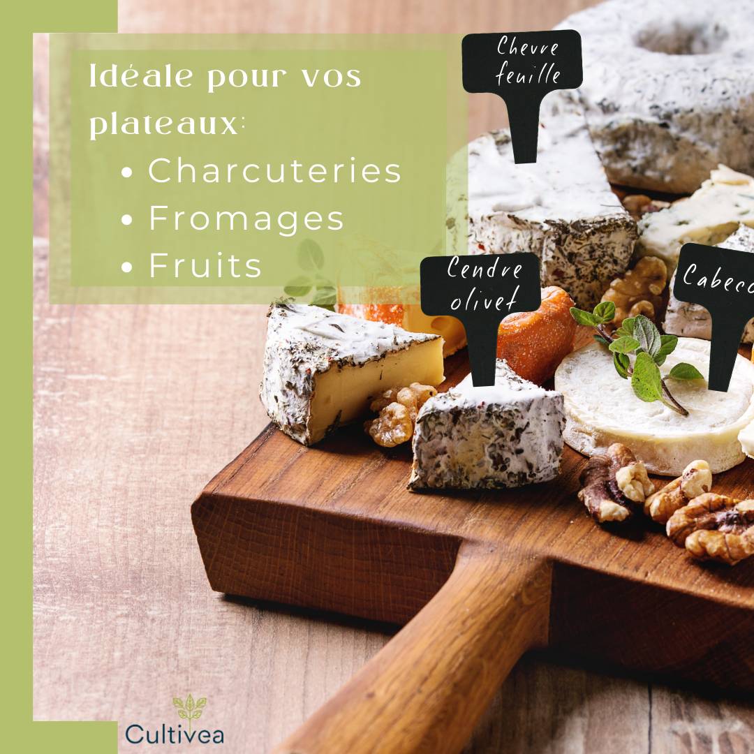 Cultivea - 120 Étiquettes Jardin à Planter en Plastique + Marqueur | Étiquettes Potager Extérieur Waterproof | Forme T à Piquer - Image 3