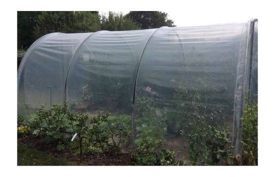 Serre tunnel de jardin - 27m² - 3 x 9 m - pieds arrondis - polyéthylène haute densité - 2 portes pivotantes - LES SERRES TONNEAU - Image 9