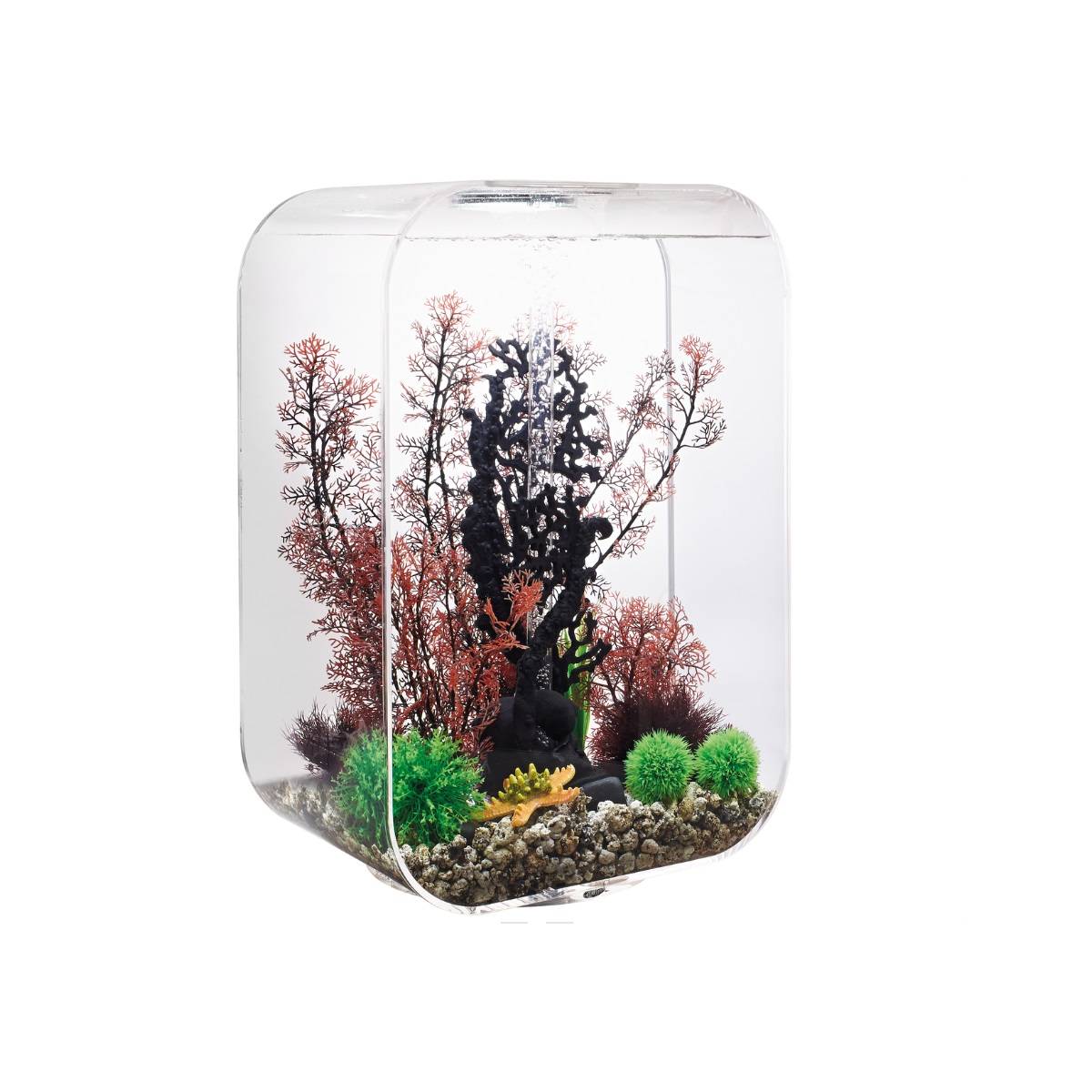 Oase - Aquarium 60l contours transparent LIFE 60 MCR TRANSPARENT Oase - Image 1