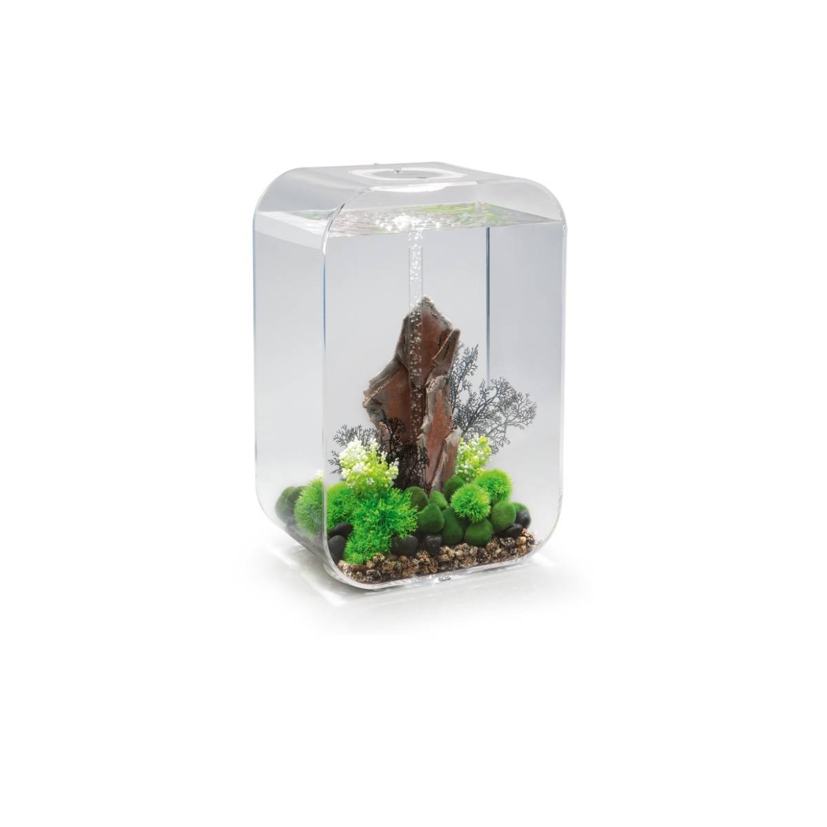 Oase - Aquarium 60l contours transparent LIFE 60 MCR TRANSPARENT Oase - Image 3