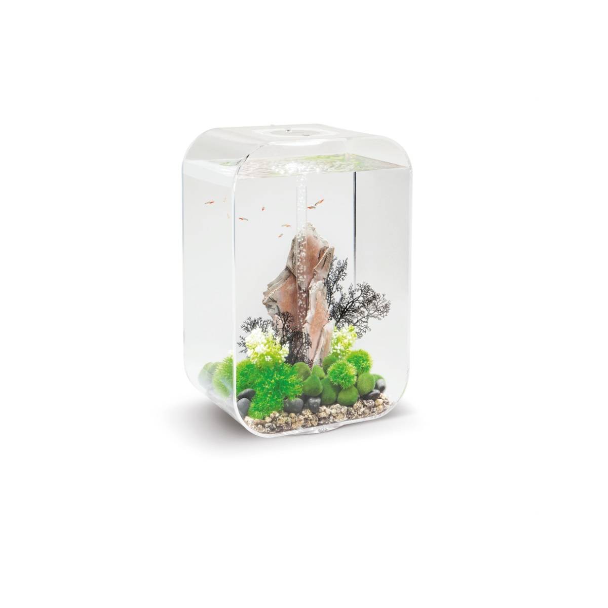 Oase - Aquarium 60l contours transparent LIFE 60 MCR TRANSPARENT Oase - Image 2