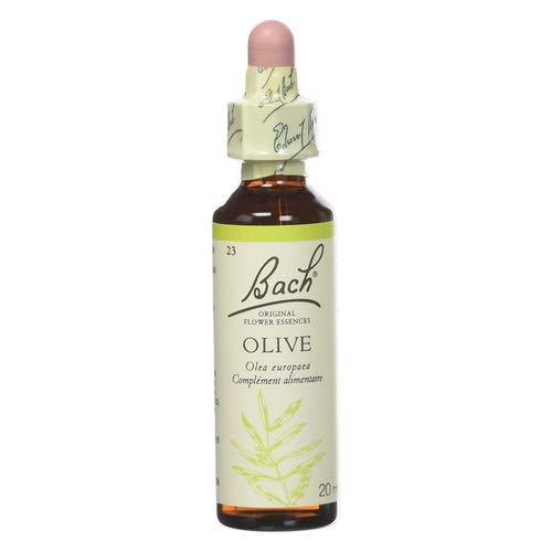 Olive -  Fleurs de Bach n°23 Fleur de Bach