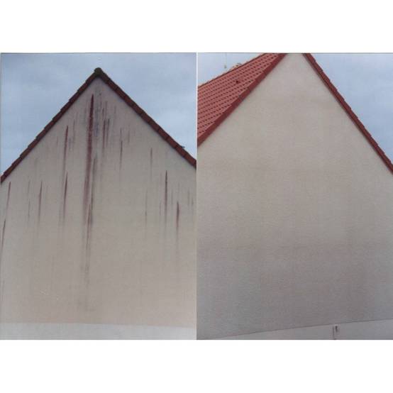 Anti-algues DALEP 5L pour murs et façades - 150005 - Image 2