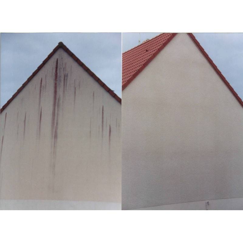 Anti-algues DALEP 5L pour murs et façades - 150005 - Image 2