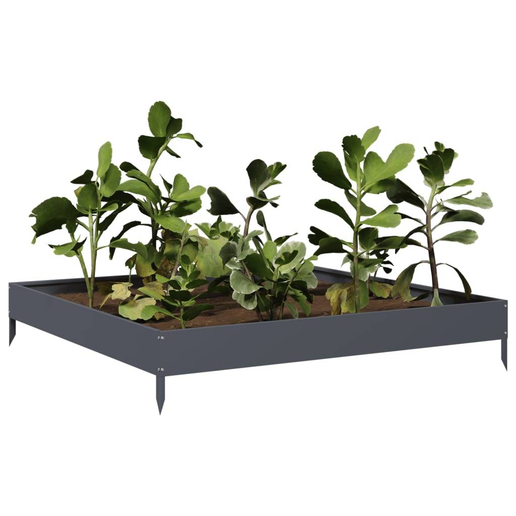 Prolenta Premium - Jardinière acier anthracite  100 x 100 x 18,5 cm  - Prolenta premium p326.1 - Image 3