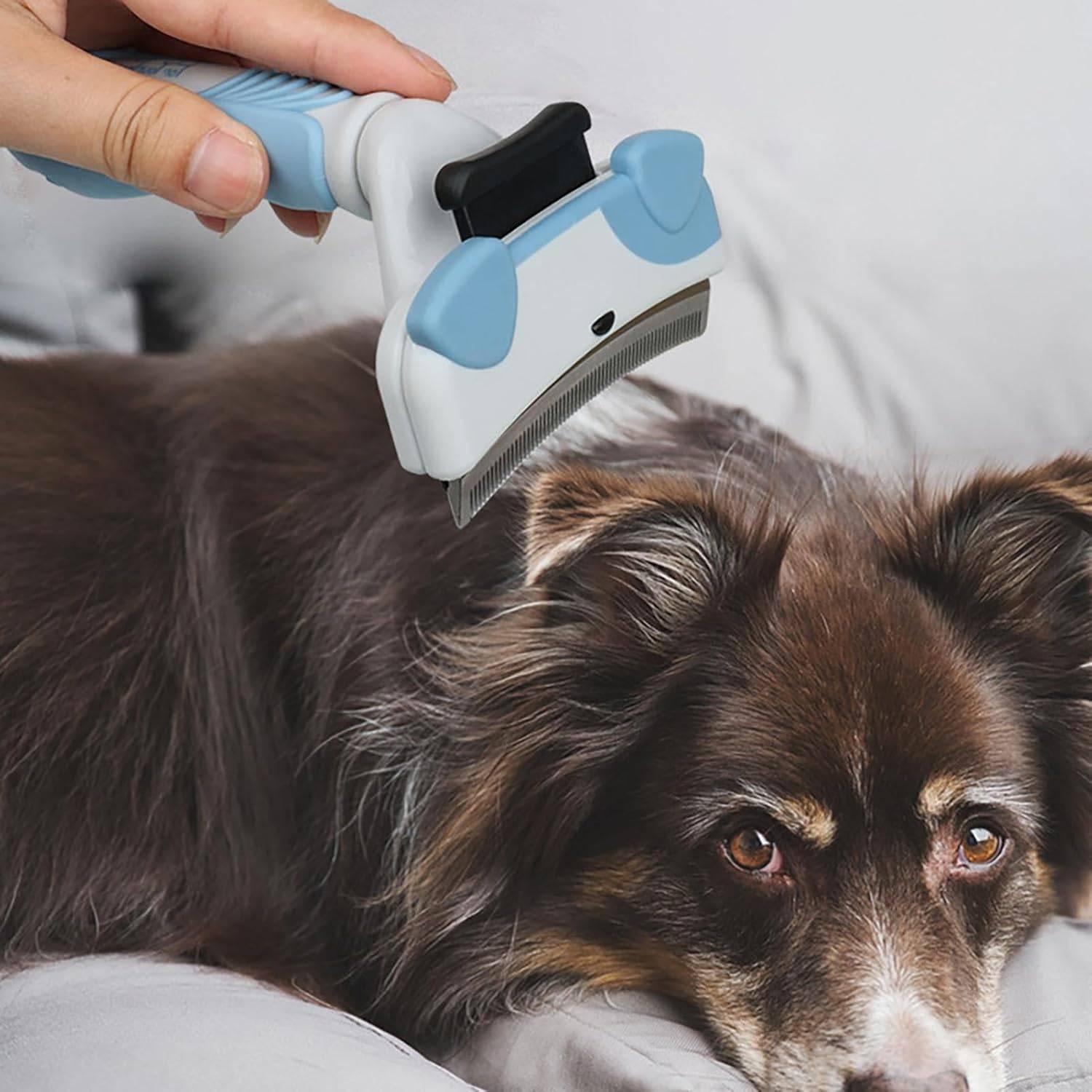 Brosse chat – Démêlage rapide, nettoyage sans effort DtopbuyAge - Image 3