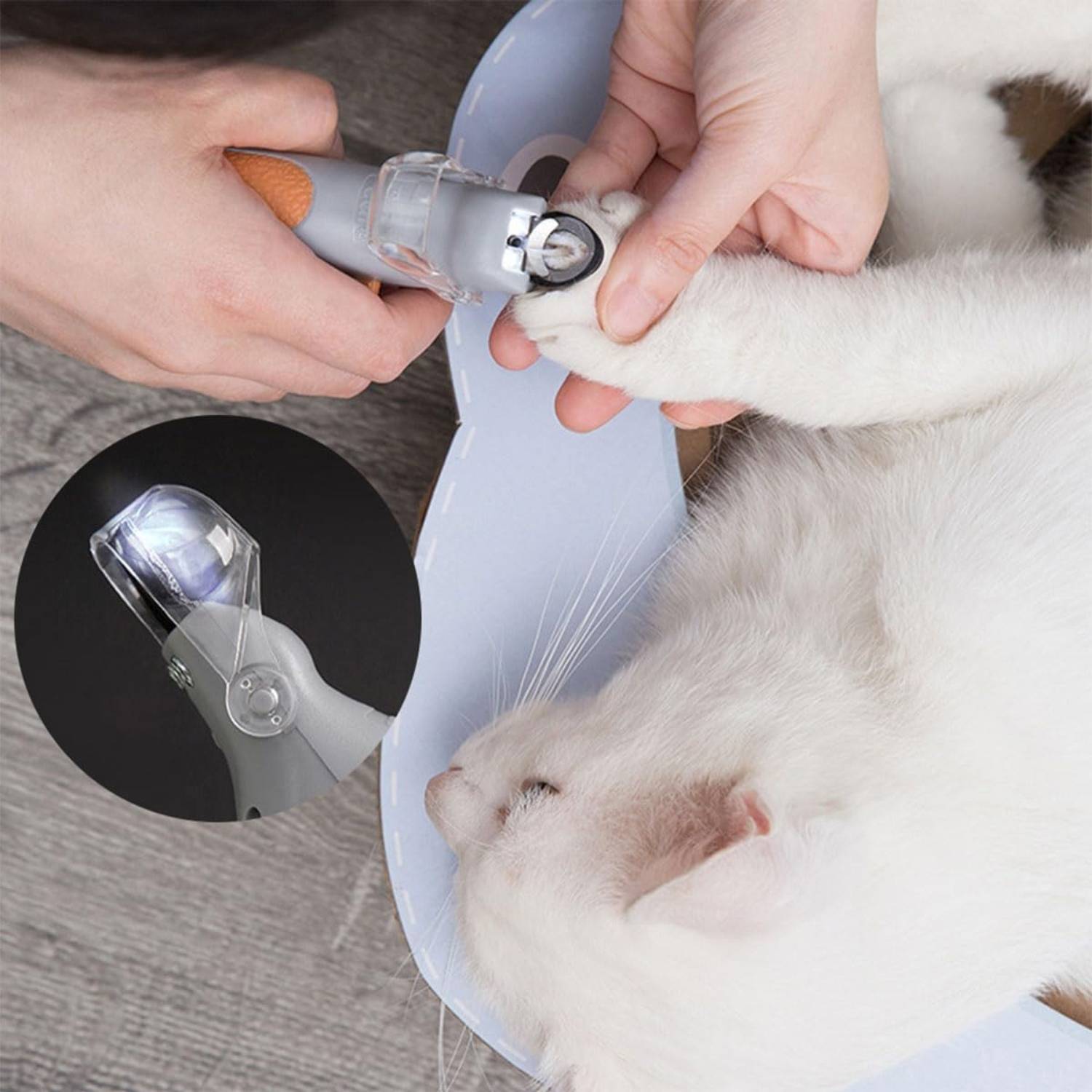 Coupe-Ongles LED pour Chats/Chiens - Sécurité et Précision DtopbuyAge - Image 3
