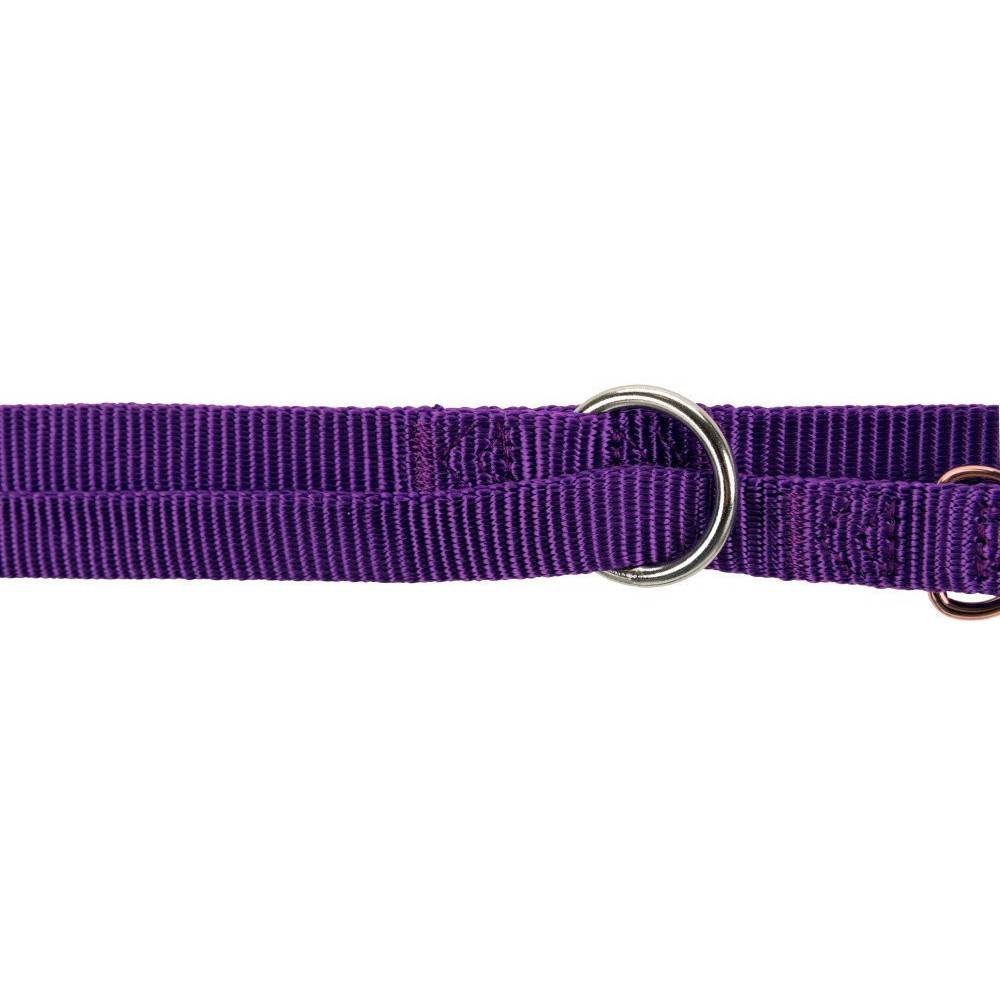 Trixie - Trixie - Laisse15 mm x  2 mètre.  XS- S.  réglable violet pour chien - Image 3