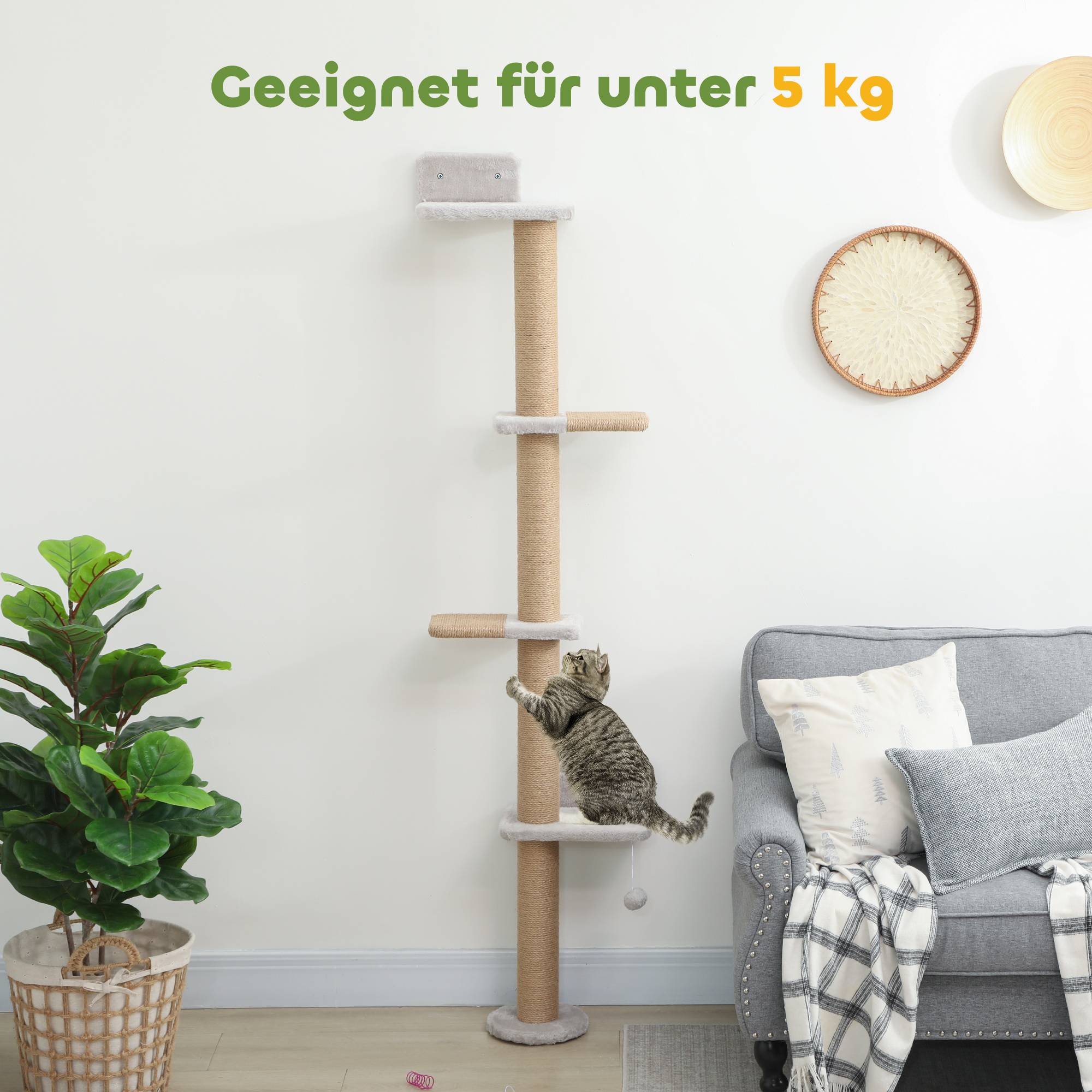 Arbre à chat, design 5 niveaux, jouet, poteaux sisal, tissu peluche, gris clair - Image 9