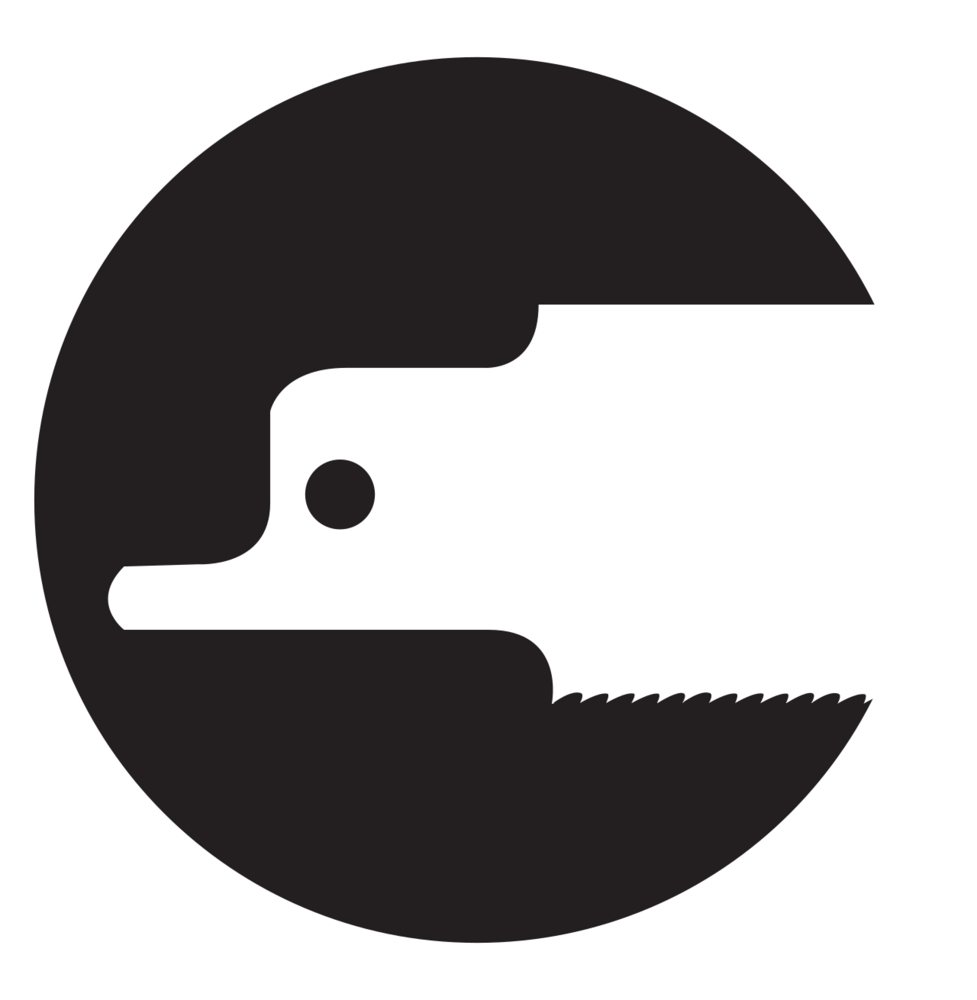 Lame de scie sabre HM - L. 280 mm pas 12.7 mm - pour béton cellulaire - LEMAN - 7718.01 - Image 2