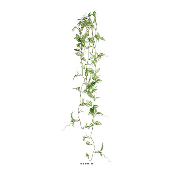 Jolie chute de tradescantia artificiel L 102 cm verte - Image 1