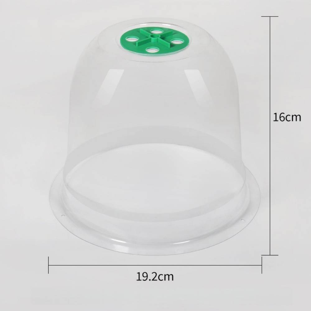 Lot de 10 protection pour plantes - 18cm - Anti-limaces - Living123 - Image 7