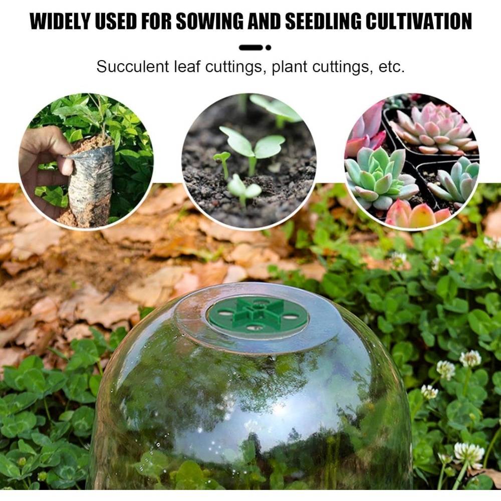 Lot de 10 protection pour plantes - 18cm - Anti-limaces - Living123 - Image 3