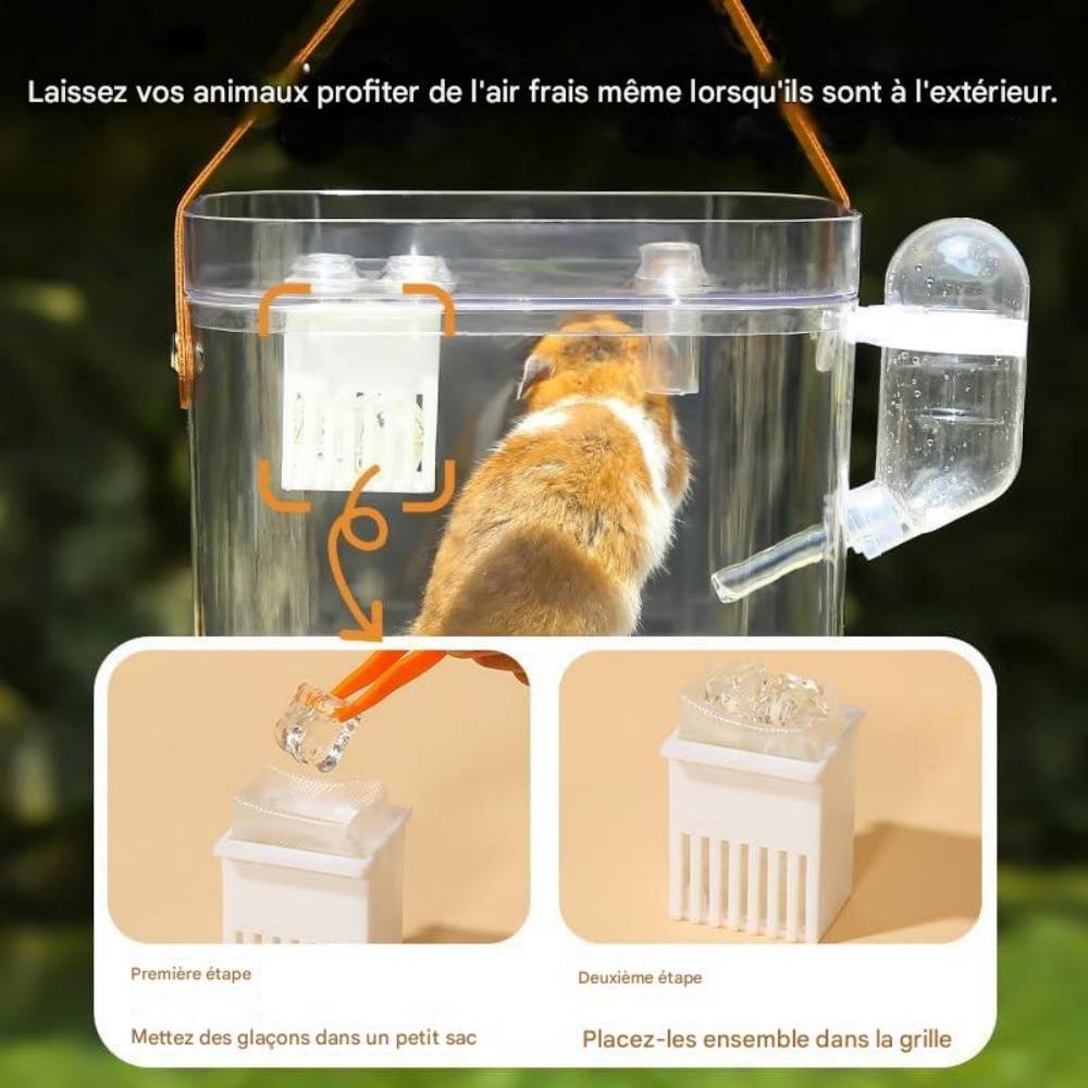 DtopbuyAge - Cage de transport pour hamster et autres rongeurs DtopbuyAge - Image 2