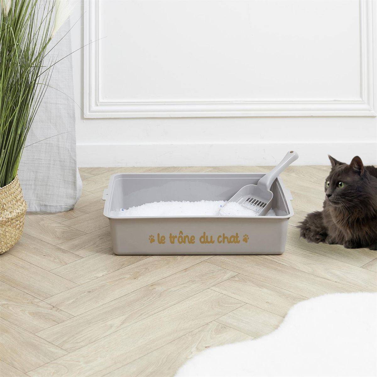 The Concept Factory - Bac à Litière & Pelle "Chat" 42cm Gris - Image 5