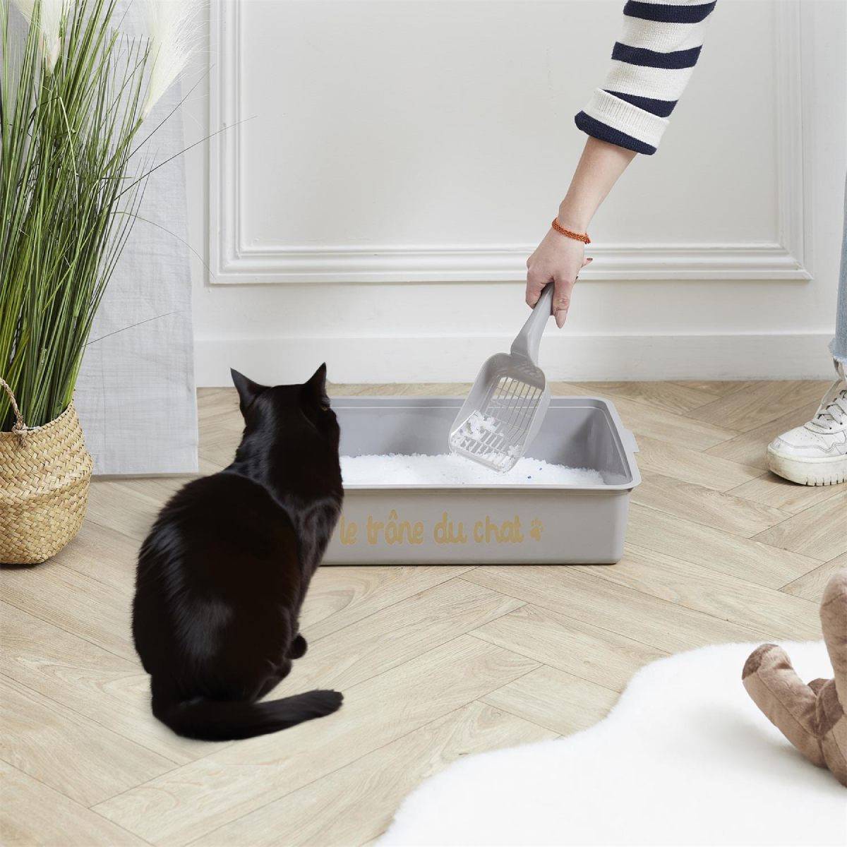 The Concept Factory - Bac à Litière & Pelle "Chat" 42cm Gris - Image 6