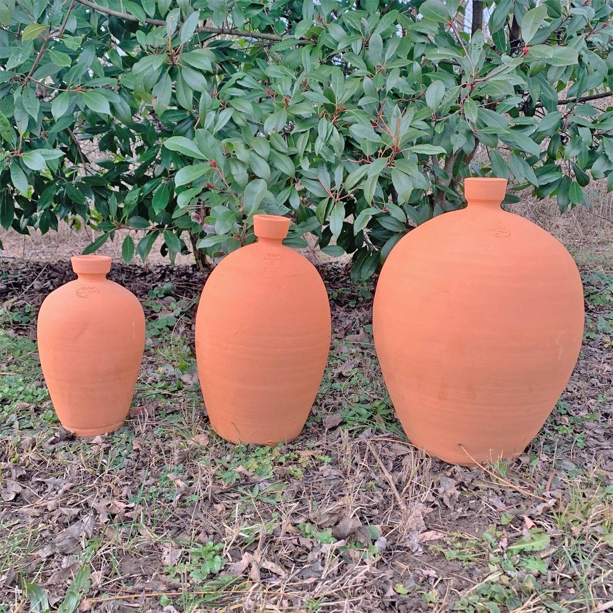 Ollas SPELEO - 20 L - Mes Courses En Vrac - Image 2