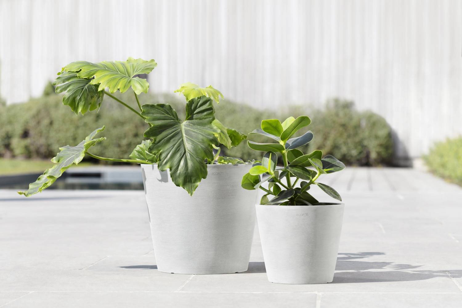 Ecopots - Pot Rond Amsterdam 20 Blanc Pur + réservoir d'eau - Ø 20 x H. 17,5 cm - 4 L ECOPOTS - Image 5