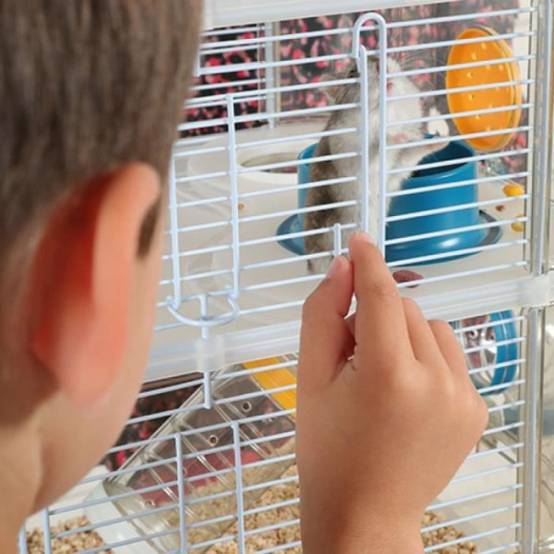 ZOLUX Cage sur 2 étages pour hamsters, souris et gerbilles - Rody3 duo - L 41 x p 27 x h 40,5 cm - Bleu - Image 2