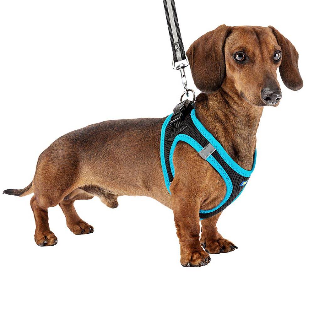 Ferplast - Ferplast Harnais Chien Taille Moyenne KAORI M, Harnais pour Chien Respirant, Rembourré et Ajustable, Facile à Porter, Bords Réfléchissants, Poitrine - Image 3