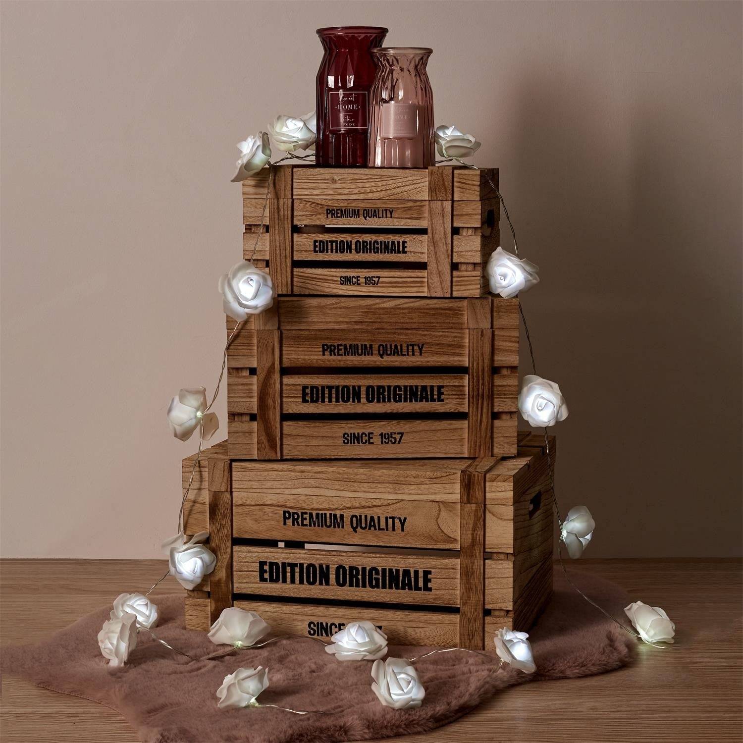 Entrepotbrico - GUIRLANDE ROSE BLANCHE 20 LED 3M50 M8 - Image 3