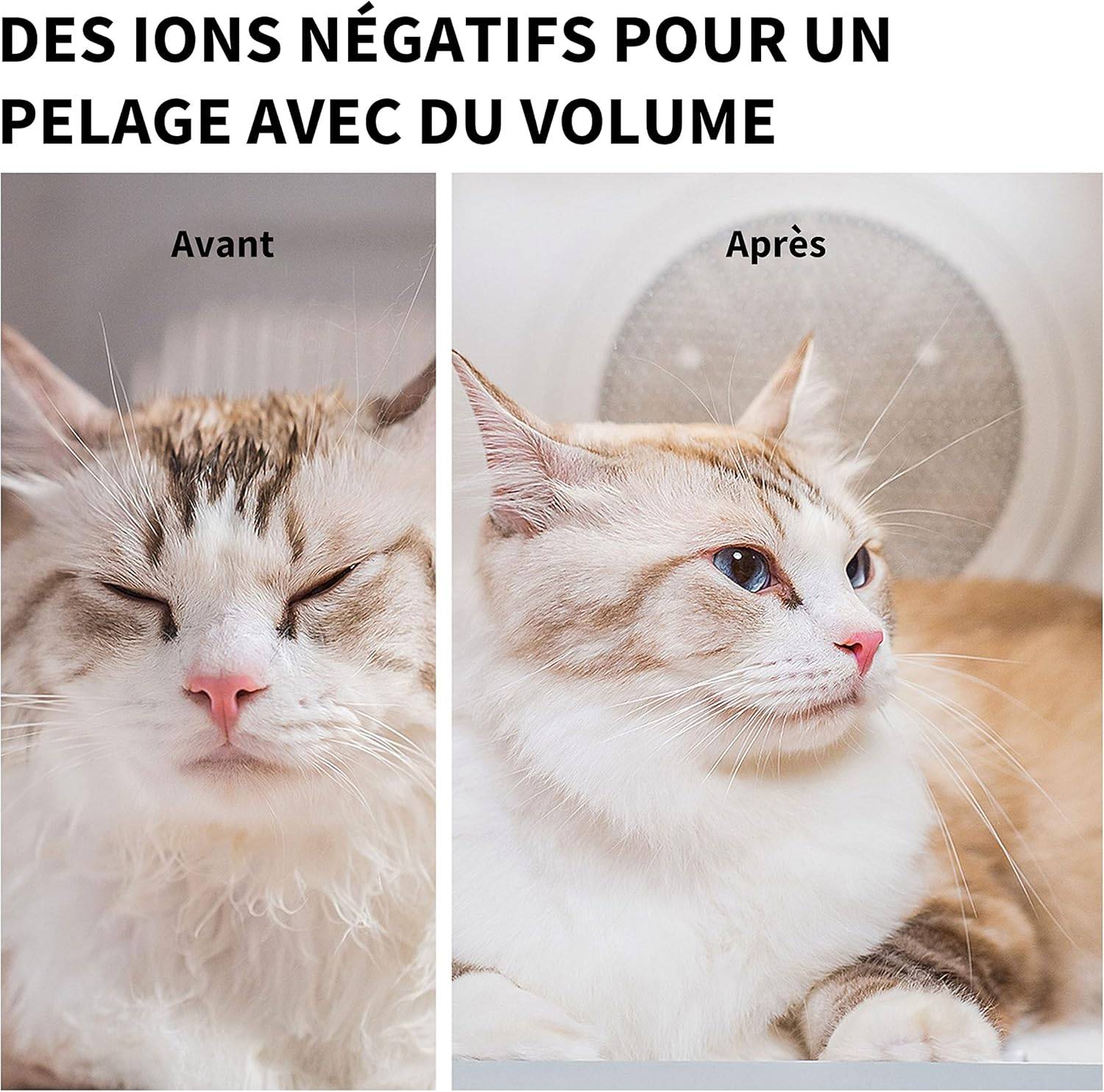 Airsalon MAX PRO séchoir automatique pour chiens, chats, 60L Petkit - Image 8