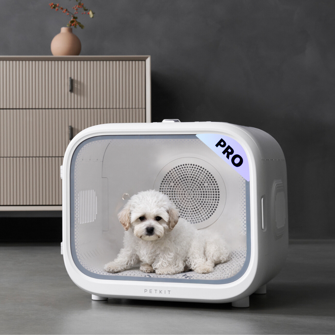 Airsalon MAX PRO séchoir automatique pour chiens, chats, 60L Petkit - Image 9