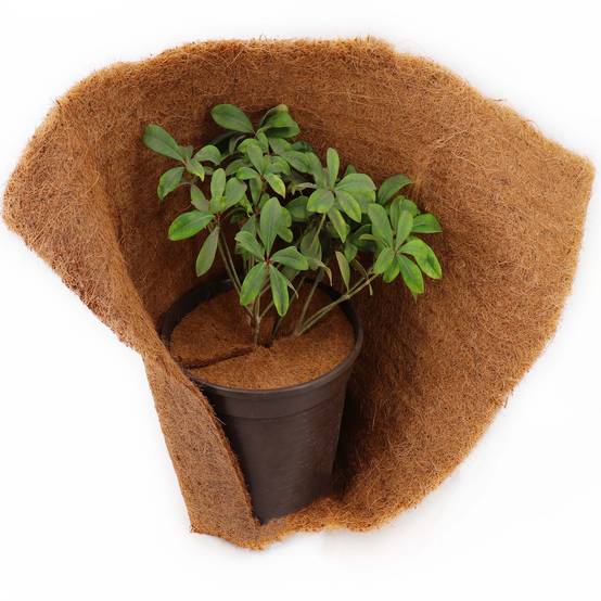 3 disques de paillis de noix de coco 60cm tapis en fibre de coco tapis de protection des plantes en fibre de coco - Image 6