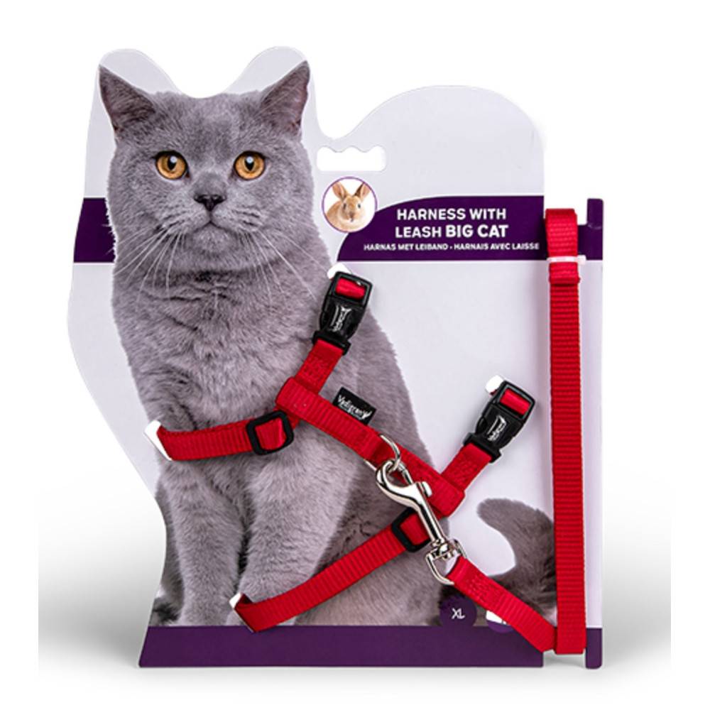 animallparadise - Harnais avec laisse 1.20m, couleur rouge, pour les Grands chats. - Image 1