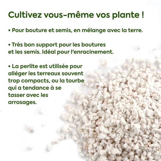 Radis et Capucine - Radis et Capucine - Sac de Perlite - 600g - Image 3