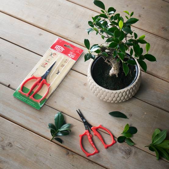 Felco - FELCO 420 - Ciseaux de taille de précision avec revêtement antiadhésif pour des coupes douces et précises - Image 4