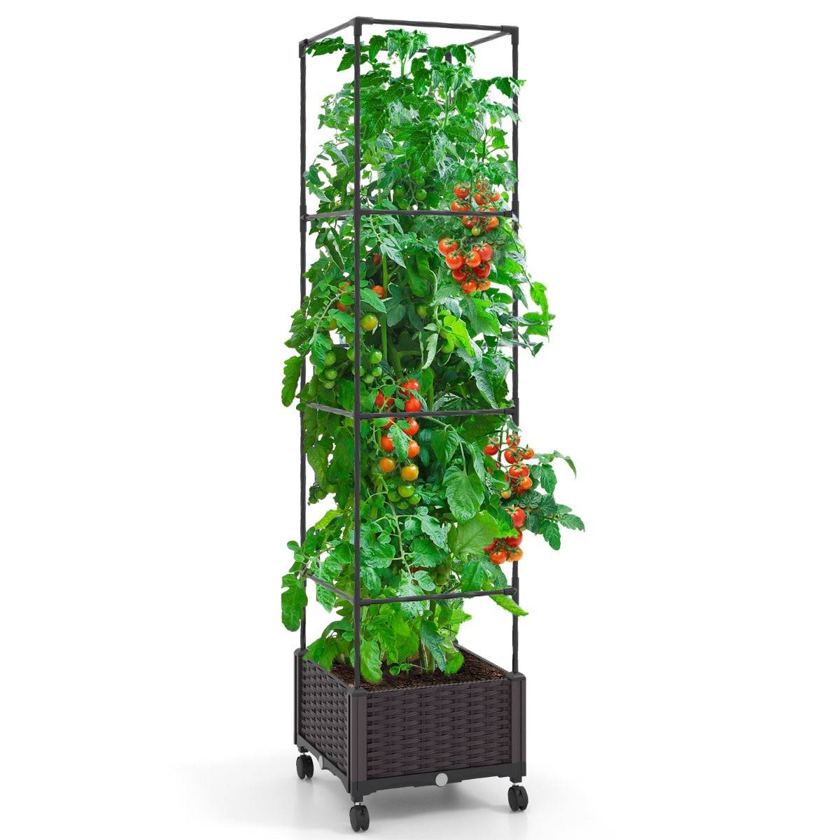 Helloshop26 - Potager surélevé vertical de 170 cm avec bac et treillis jardinière avec système d'auto-irrigation hauteur ajustable bac à tomates sur roues - Image 2