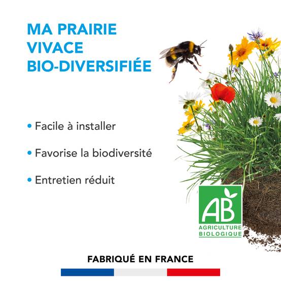 Prairie Vivace - Facile à Installer - Entretien Réduit - Refuge Naturel Animaux - 10KG - BARENBRUG - Image 2