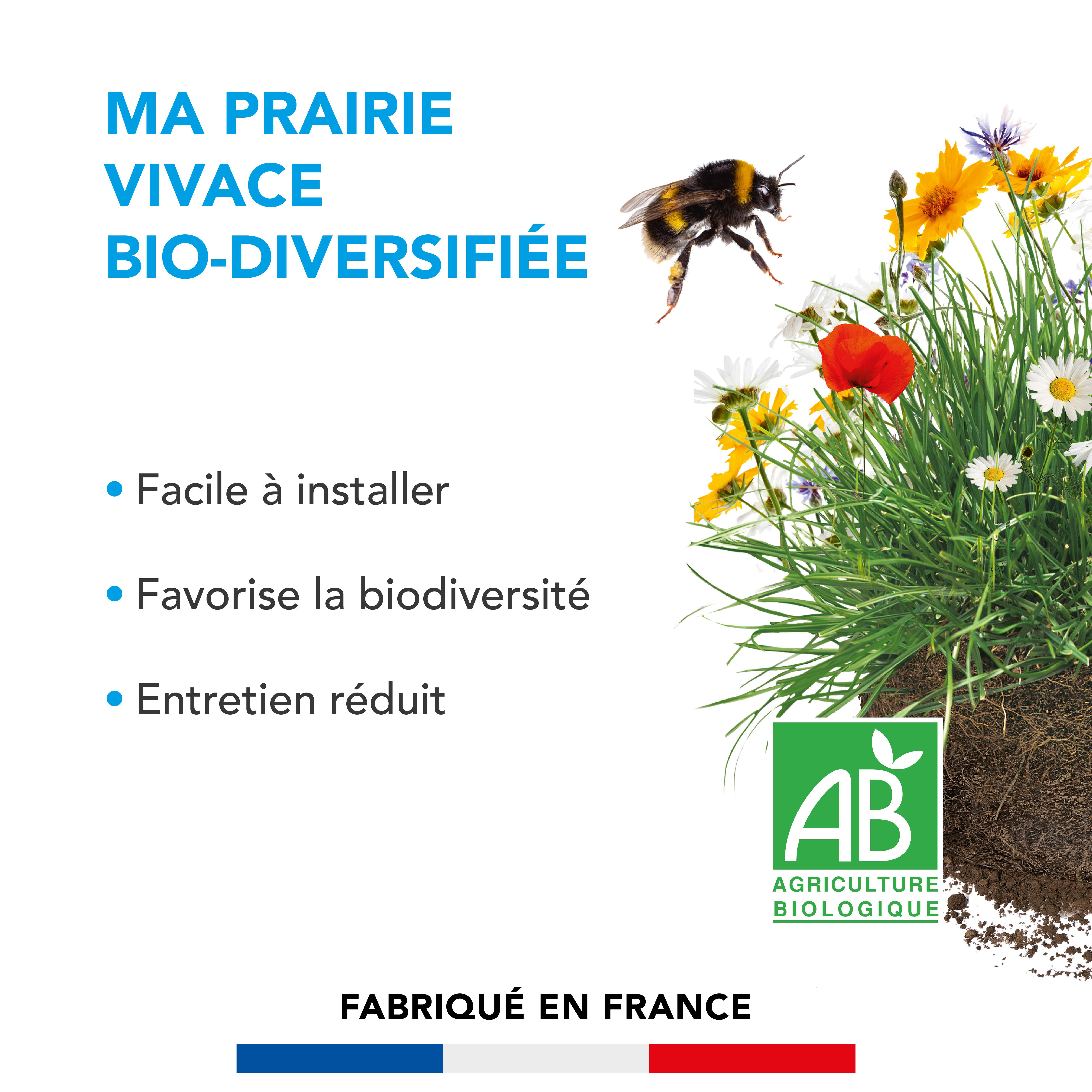 Prairie Vivace - Facile à Installer  - Entretien Réduit - Refuge Naturel Animaux - 10KG - BARENBRUG - Image 2
