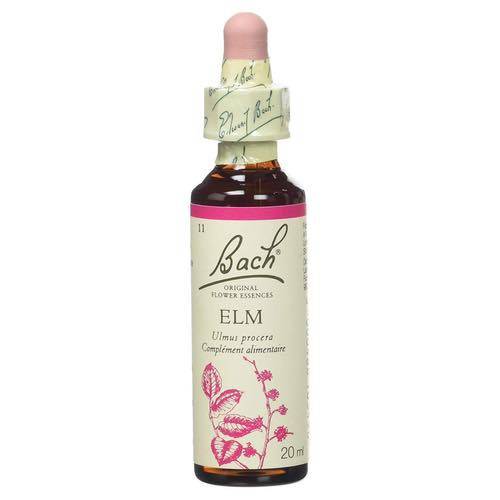 Elm - Fleurs de Bach® n°11 Fleur de Bach - Image 1